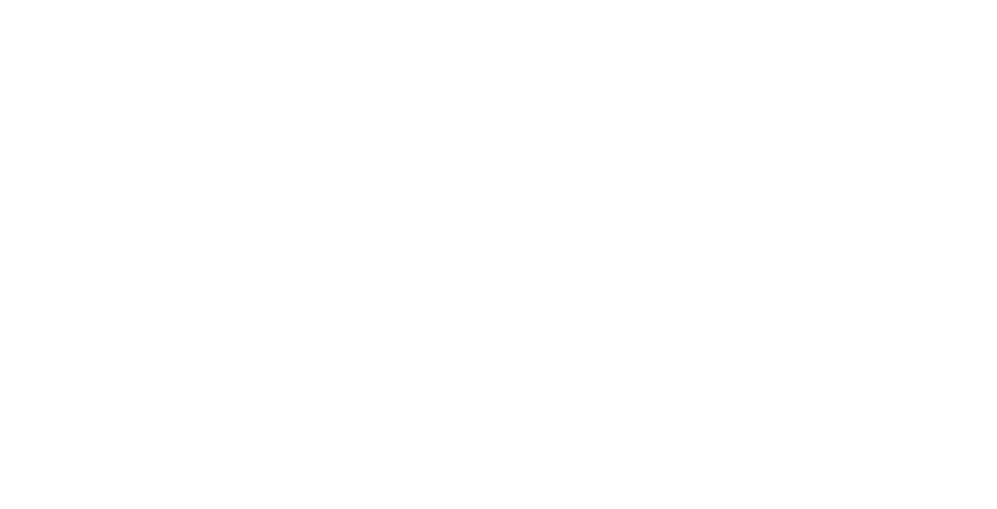 COMPANY PROFILE